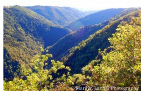 Mardi 15 aout  1ere Rando Route de Lescure Jaoul
